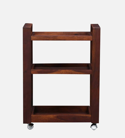 Avian Sheesham Wood Bar Cabinets in Honey Oak Finish